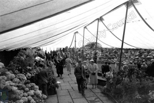 Spring Flower Show, Harrogate, 1959